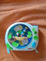 Spieluhr Vogelgezwitscher von Fisher-Price --rar-- Nordwestmecklenburg - Landkreis - Bobitz Vorschau