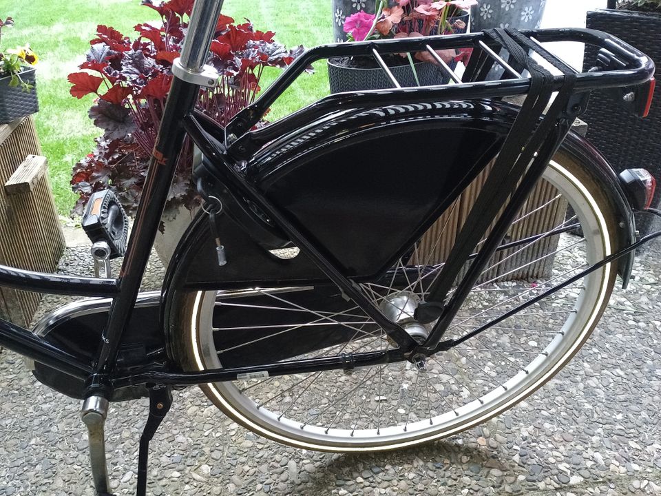 Gazelle Fahrrad Hollandrad Mädchenfahrrad Damenfahrrad Bike in Faßberg