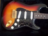 SRV - Stevie Ray Vaughan E-Gitarre Hessen - Korbach Vorschau