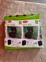 Keter City Box - kleine Kissenbox / Aufbewahrungsbox Nordrhein-Westfalen - Willich Vorschau