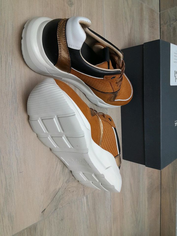 Brax Leder Sneaker, Halbschuhe, Schuhe, Gr. 39, NEU in Frankfurt (Oder)