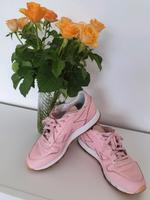 REEBOK limited edition Größe 38,5 Bayern - Regensburg Vorschau
