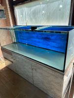 Aquarium Ca. 700 Liter Niedersachsen - Clenze Vorschau