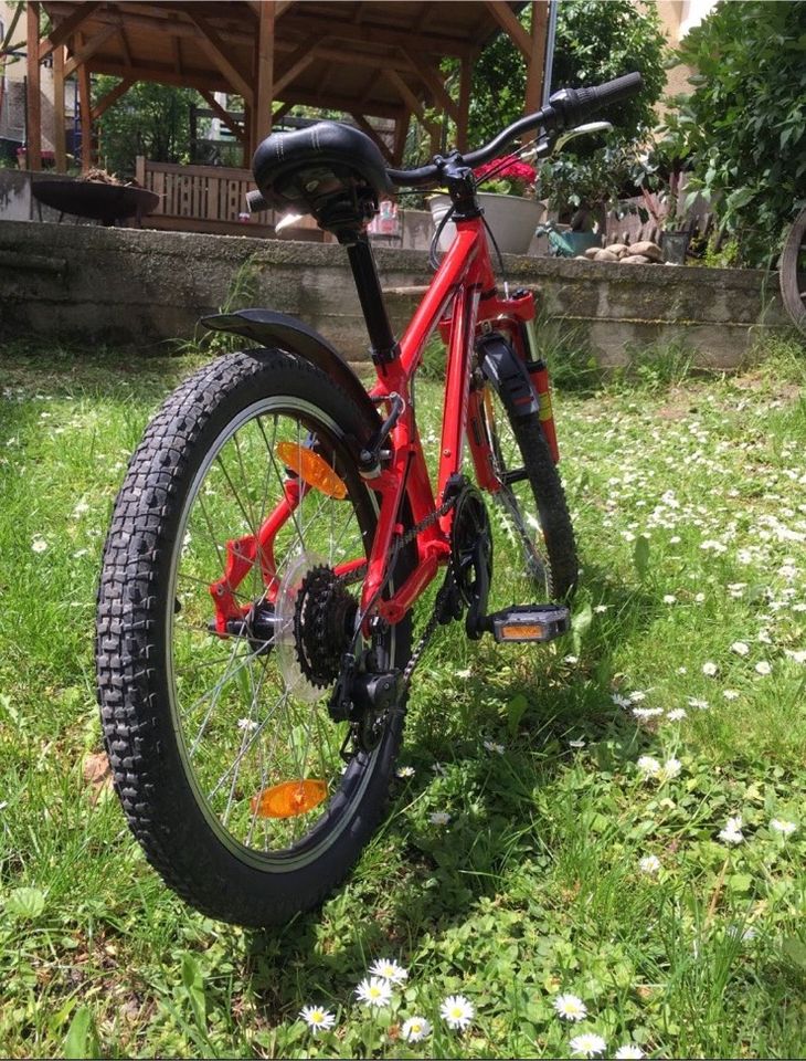 SPECIALIZED Kinder Fahrrad 20“ in Arnstadt