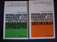 Faust / Die Leiden des jungen W Goethe - Grundlagen und Gedanken Baden-Württemberg - Konstanz Vorschau