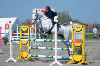 Springen Children Junioren Stute großartige Lehrmeister in Kreis Ostholstein - Fehmarn Vorschau