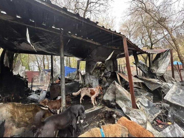 Vitage 70er 80er Hüte ❣Hilfe für Hütehunde ❣ in Maxhütte-Haidhof