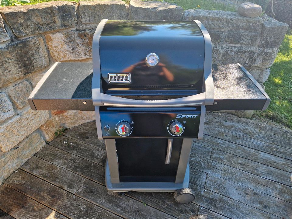 Weber Gasgrill E-210 in Pirna