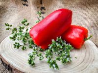 Paprika rot - diverse Sorten blockig länglich LECKERE SORTEN Bayern - Waigolshausen Vorschau