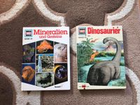 Was ist Was Dinosaurier, Mineralien&Gesteine Band 15 und 45 Hessen - Heuchelheim Vorschau