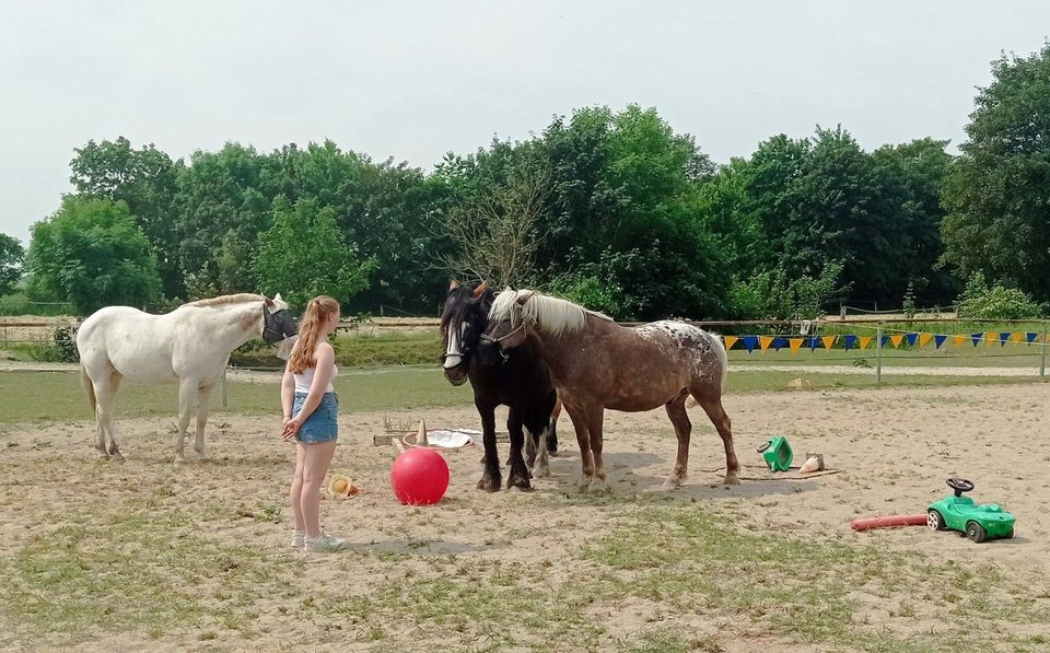 Erwachsene Urlaub Auszeit Retreat Coaching Pferde Entwicklung in Saatel