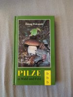 Pilze in Wald und Feld Buch Bonn - Dottendorf Vorschau