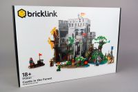 LEGO Bricklink Set 910001 Castle in the Forest * NEU vom Händler Wandsbek - Hamburg Poppenbüttel Vorschau