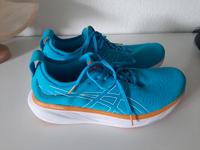 ASICS Gel-Nimbus 25/ Größe 49/ Top Zustand Niedersachsen - Wennigsen Vorschau