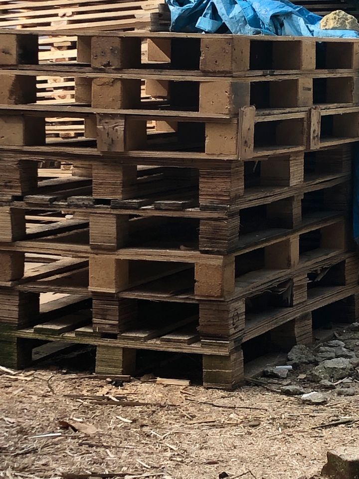 Paletten Brennholz 13 Stück in Rinteln