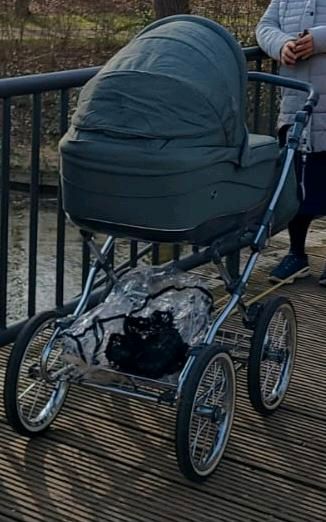 2-in-1 Kinderwagen Emma Roan Retro in Swisttal