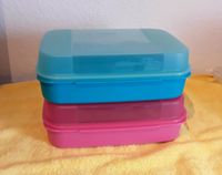 Tupperware große Naschkätzchen pink,türkis Niedersachsen - Weener Vorschau