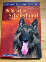 Belgischer Schäferhund Charakter - Erziehung - Gesundheit Duisburg - Rumeln-Kaldenhausen Vorschau