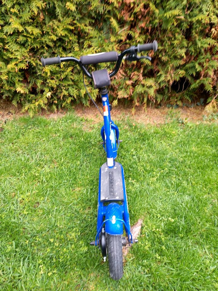 Kinderroller Scooter von bikestar germany blau in Baden-Württemberg -  Ladenburg | Spielzeug für draussen günstig kaufen, gebraucht oder neu |  eBay Kleinanzeigen ist jetzt Kleinanzeigen