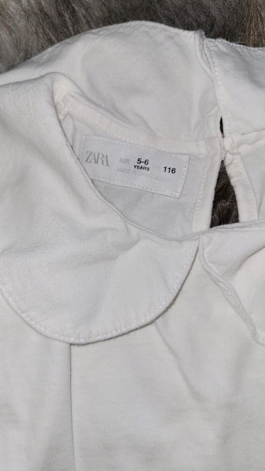 Shirt Zara Größe 116 in Bentzin