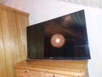 Samsung TV 100cm diagonale Saarland - Wadern Vorschau