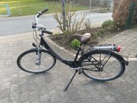 Rabeneick Damenfahrrad Nordrhein-Westfalen - Everswinkel Vorschau