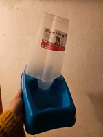 Wassertränke Kunststoff Hund Katzte Hessen - Bad Arolsen Vorschau