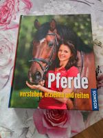 Pferde verstehen,erziehen und reiten Flensburg - Fruerlund Vorschau