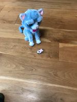 Hasbro Furreal Friends - Katze  Süße Katze mit Spielzeug Dortmund - Sölde Vorschau