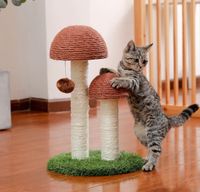 Kratzpilz Katzenbaum Kratzbaum Katzenspielzeug Neu Nordrhein-Westfalen - Gütersloh Vorschau