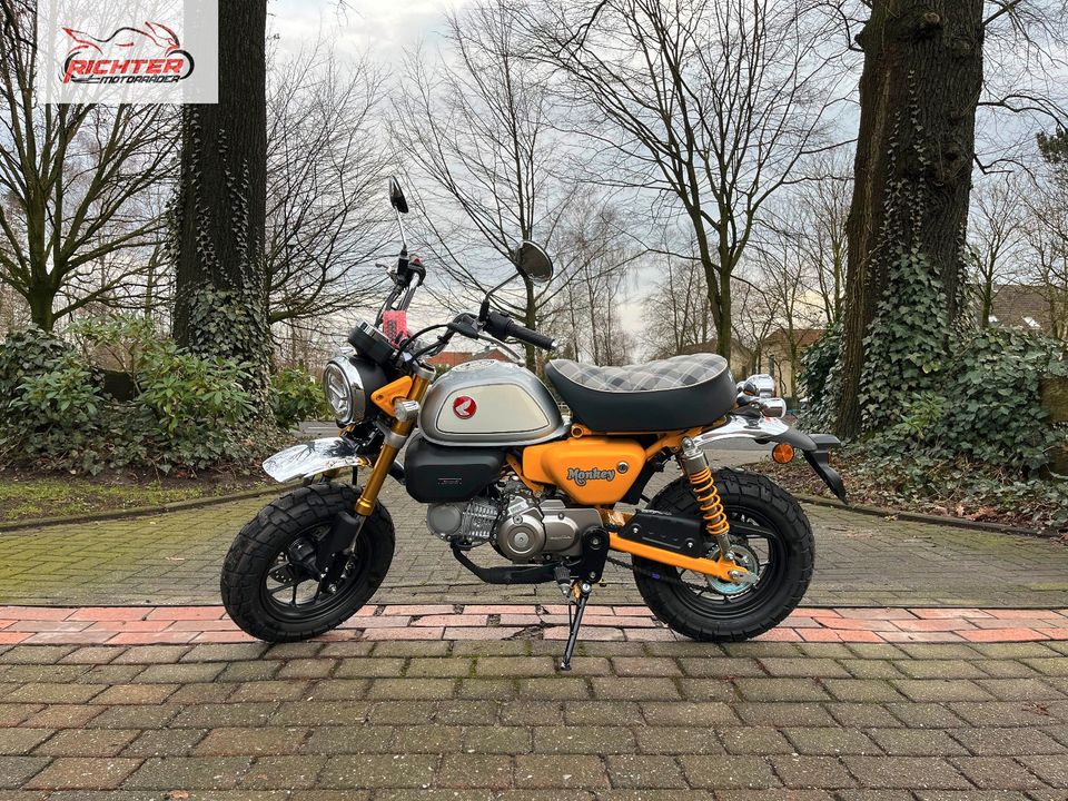 HONDA Z125 MONKEY - 125ccm - Neufahrzeug - Finanzierung möglich in Bad Laer