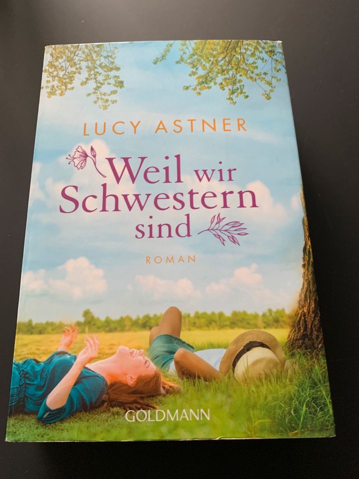 Roman- Weil wir Schwestern sind von Lucy Astner in Jüchen