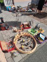 Riesen Sammlung Playmobil zu verkaufen Hessen - Gießen Vorschau