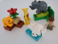 Lego Duplo 4962 Tierbabys,  gebraucht, OVP fehlt Baden-Württemberg - Bad Herrenalb Vorschau