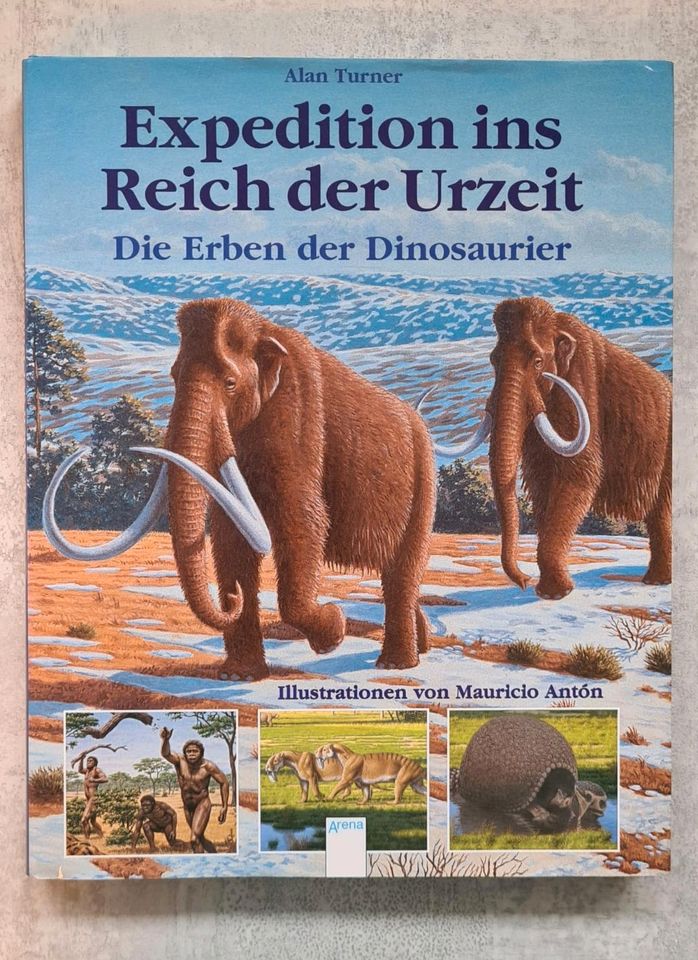 Bücher Dinosaurier Was ist was in Fockbek