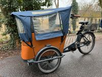 Babboe Curve Mountain e-Lastenrad 500Wh mit viel Zubehör Brandenburg - Potsdam Vorschau