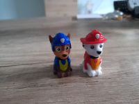 Paw Patrol Brandenburg - Finsterwalde Vorschau