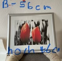 Tolles Bild mit Rahmen Essen - Essen-Borbeck Vorschau