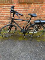 E-Bike Herrenfahrrad Gazelle Ultimate 9 Niedersachsen - Hoogstede Vorschau