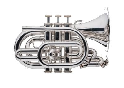 Schagerl Taschen - Trompete in B, versilbert inkl. Leichtkoffer in Hagenburg