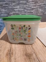 Tupperware Klima Oase 4,4 Liter NEU! Hessen - Reinheim Vorschau