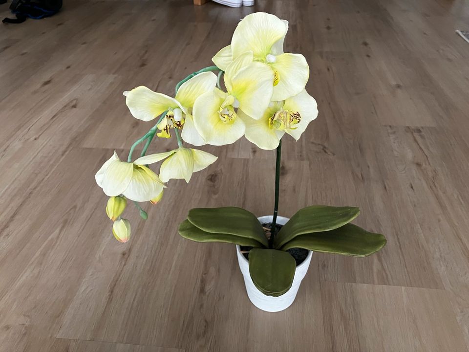 Deko Orchidee kunstblume 50cm in Günthersdorf