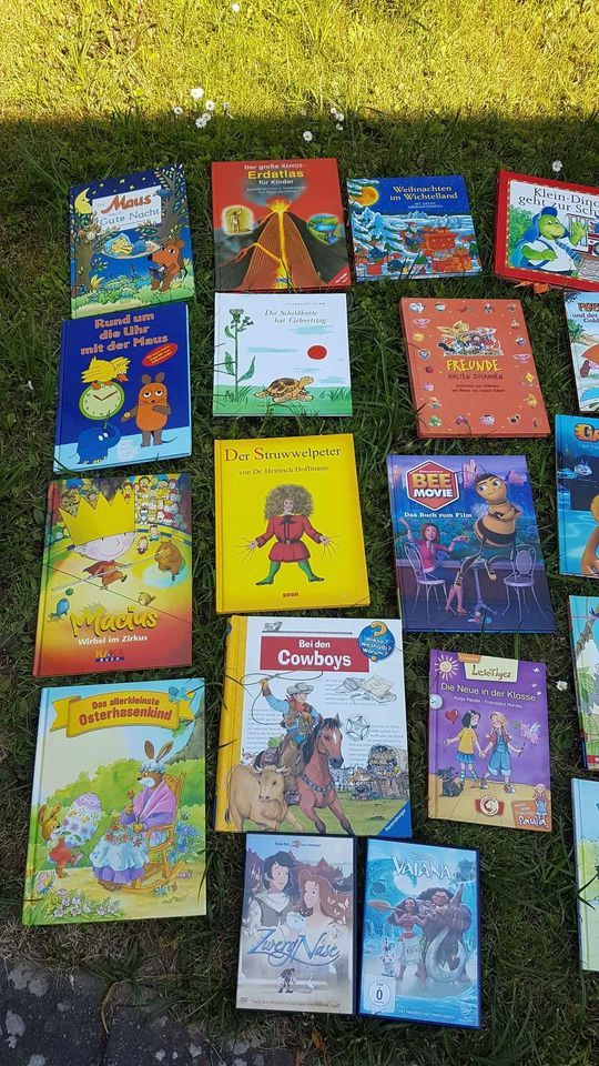 Kinder Bücher Konvolut 35 stück 2 DVD in Osterode am Harz