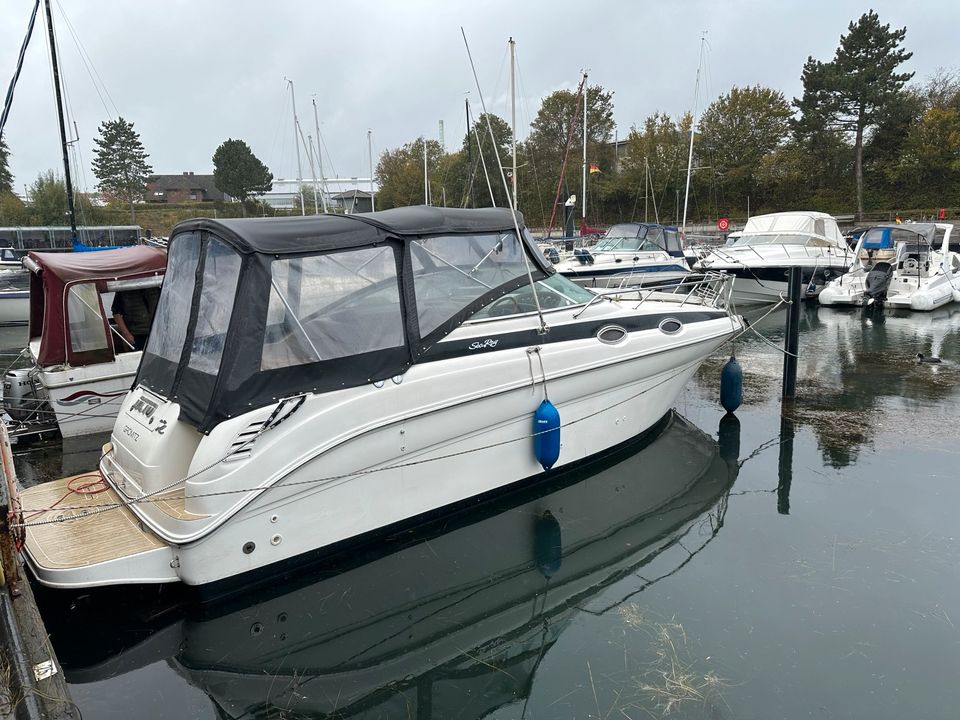 Sea Ray 260 DA in Tangstedt