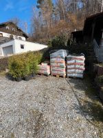 Rindenmulch Pflanzerde Heckenpflanzen Bayern - Altdorf Vorschau