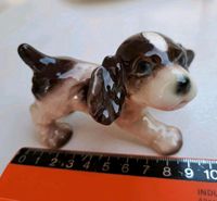 Goebel Cocker Spaniel alt Porzellan Figur Baden-Württemberg - Eislingen (Fils) Vorschau