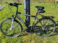 Pegasus Piazza Herren Trecking Rad 28" Bayern - Wald Oberpf. Vorschau