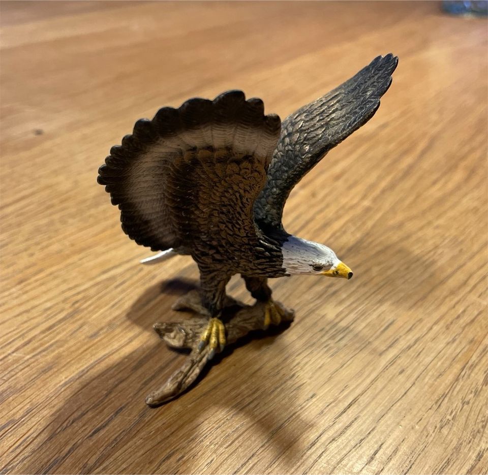 Schleich Weißkopfseeadler Adler 14634 in Westerrönfeld