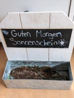 Pflanzen Aufhängung Topf für Wand Nürnberg (Mittelfr) - Aussenstadt-Sued Vorschau