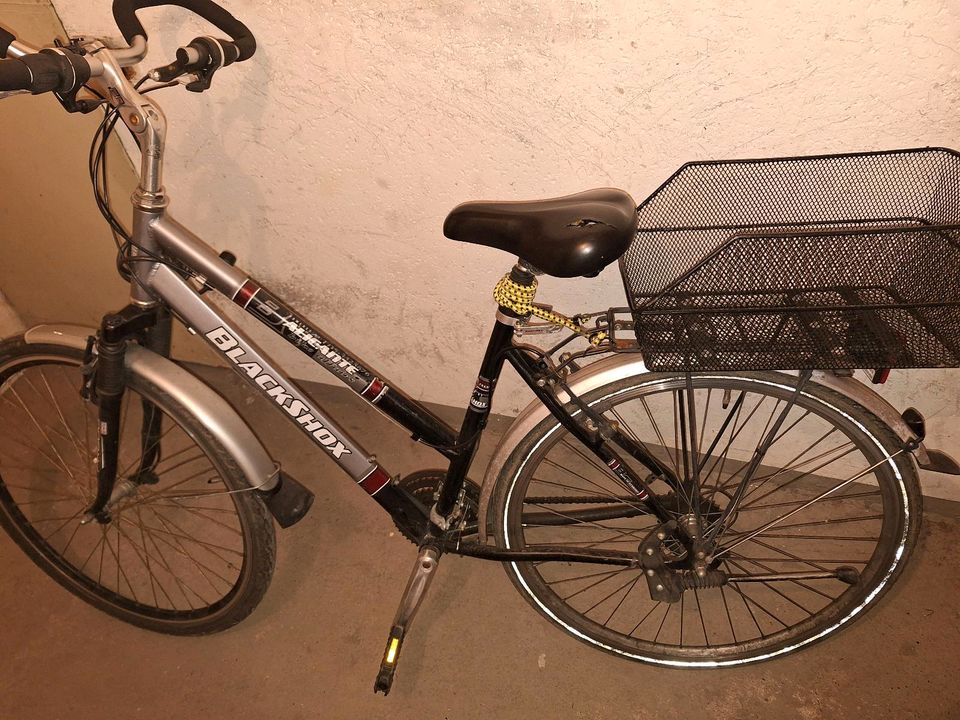 Fahrrad 28 Zoll mit Korbes zusäzlich Beleuchtungszubehör in Greifswald